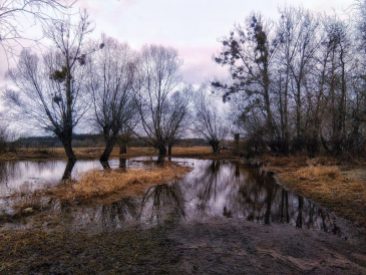 Brochów. Wiosenne rozlewiska Bzury. Foto: Liliana Kołłątaj